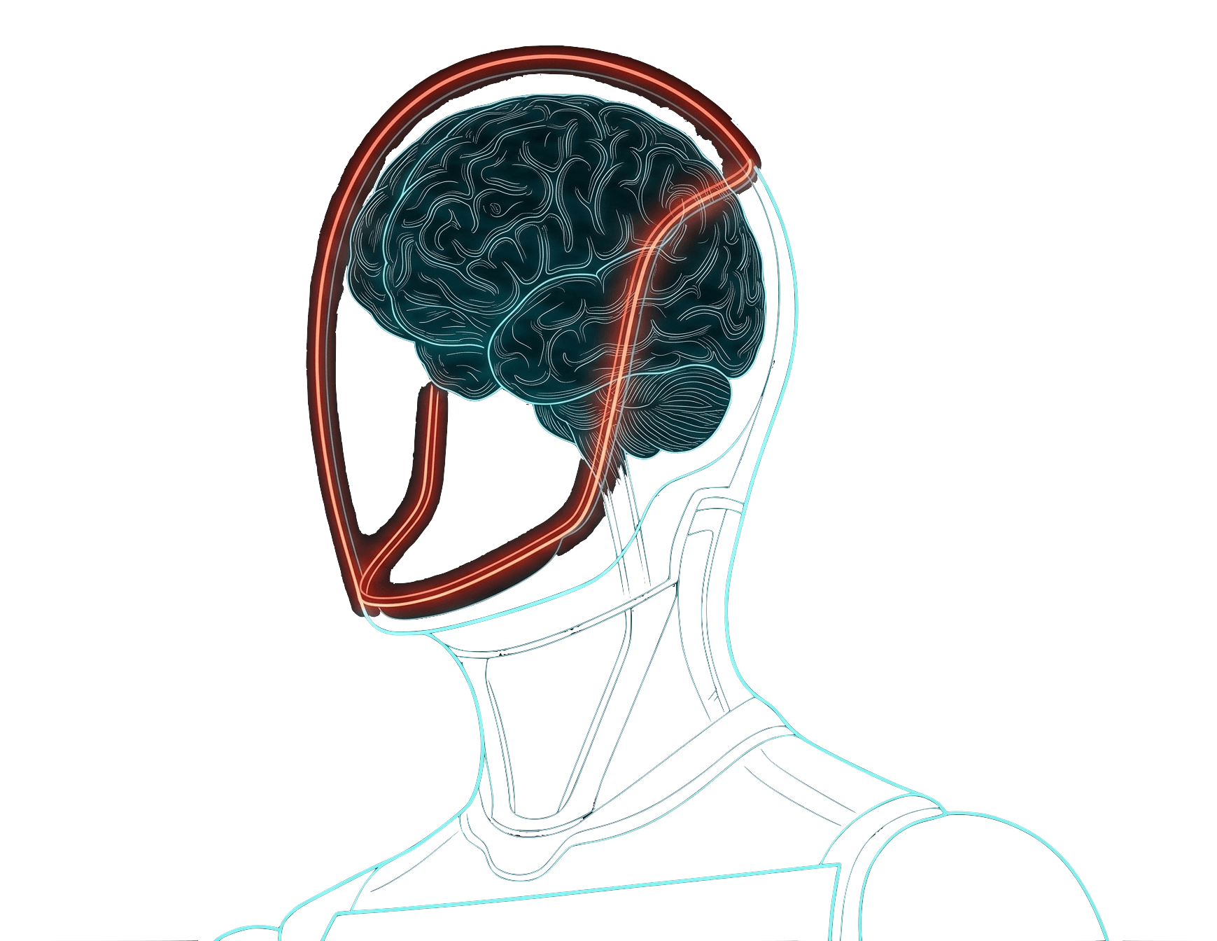Novonus yard intelligence